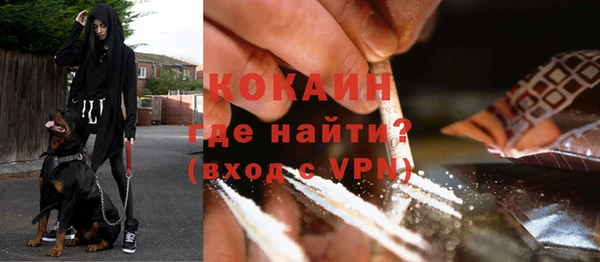 молекула духа Балахна
