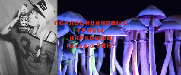 молекула духа Балахна