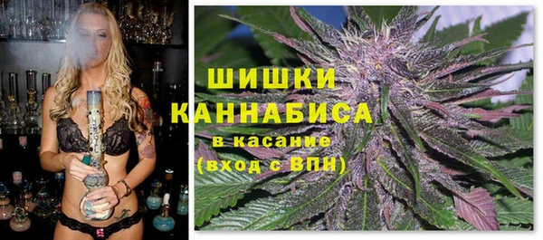 молекула духа Балахна