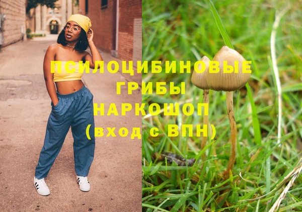 индика Сясьстрой