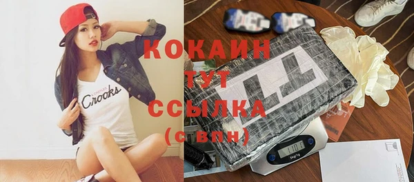 молекула духа Балахна
