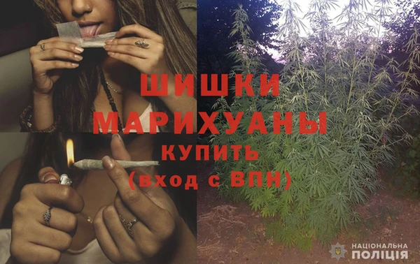 молекула духа Балахна