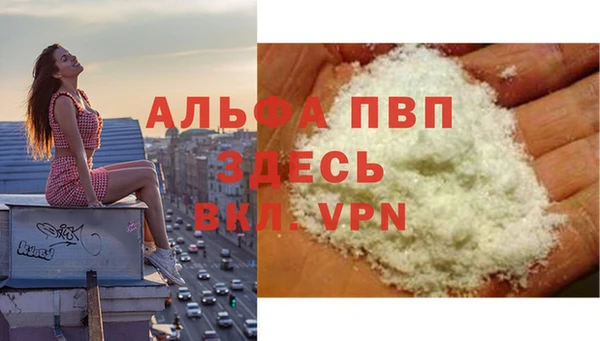 молекула духа Балахна