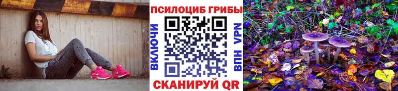 купить наркотик  OMG онион  Галлюциногенные грибы ЛСД  Игра 